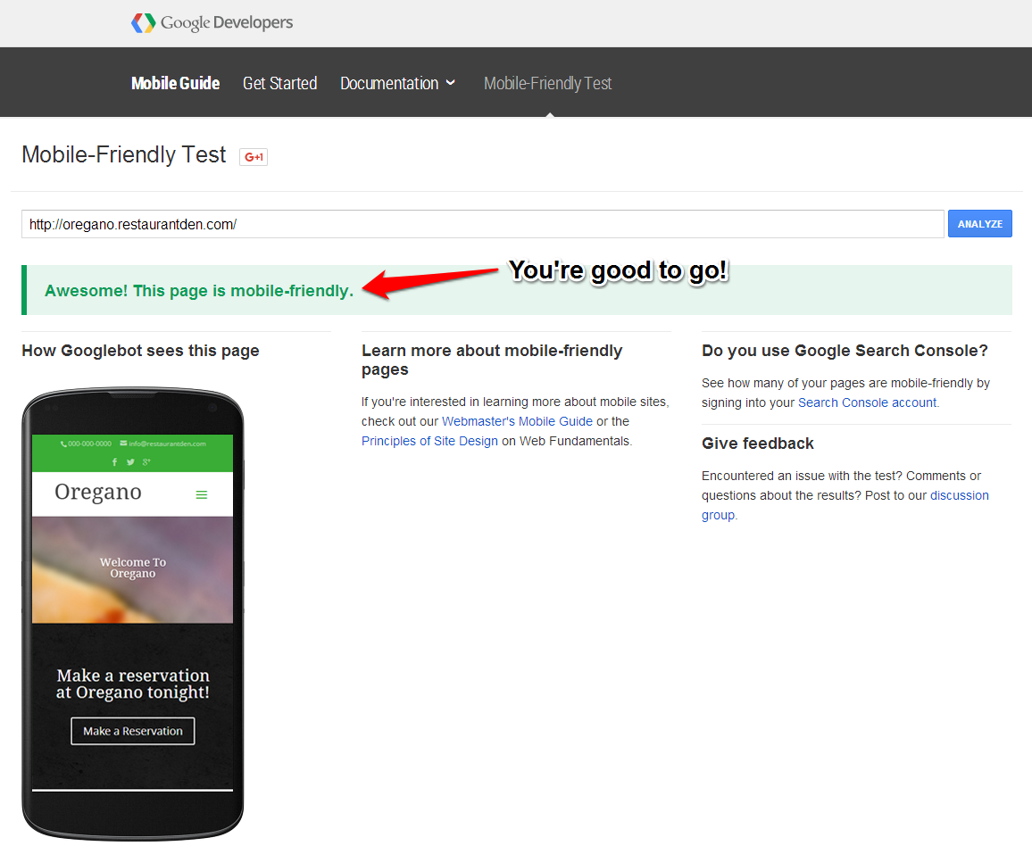 google pass test
