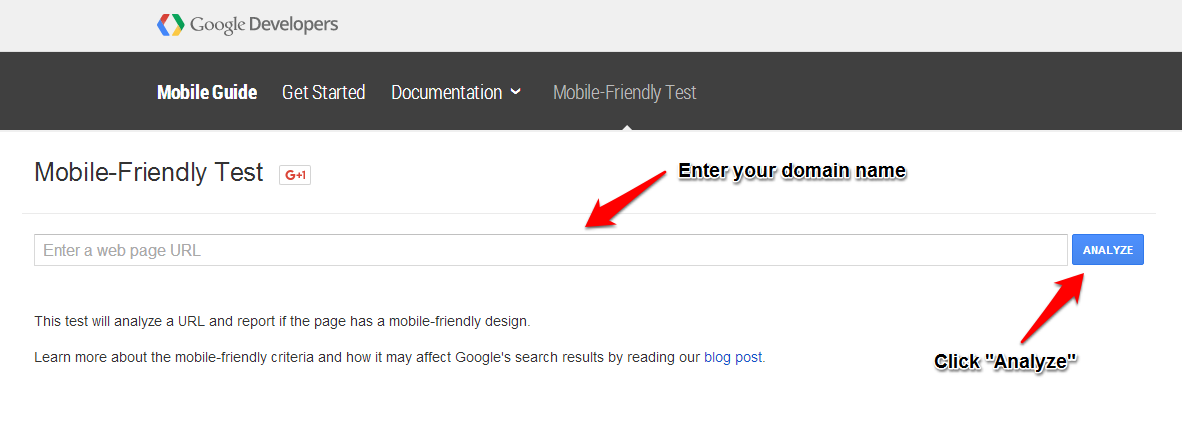 google test